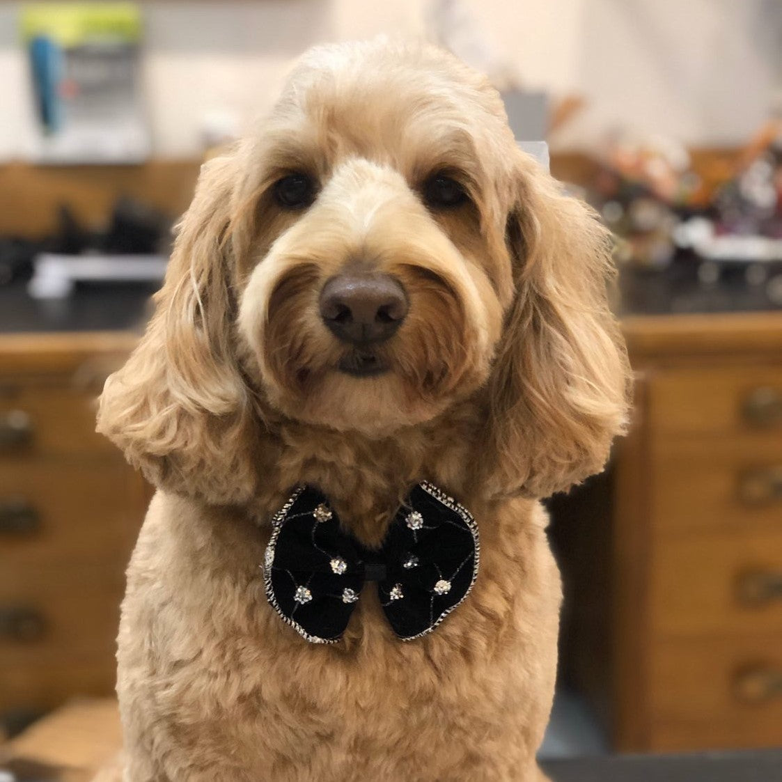 bloomingdales bow ties