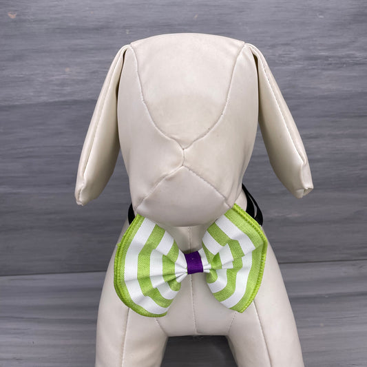 Beetle Halloween - Jumbo Bow Tie - 3 Large Neckties