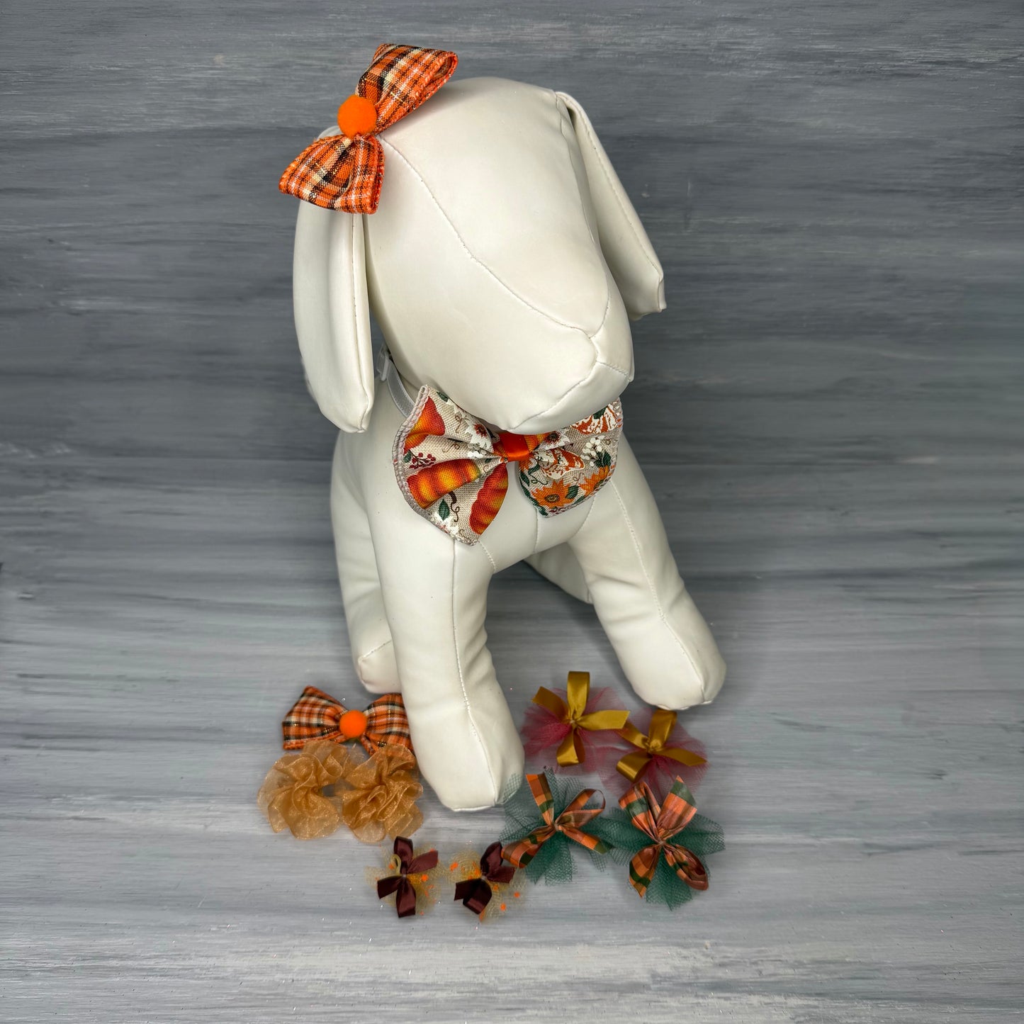 Pumpkin - Small - 11 Piece Assortment