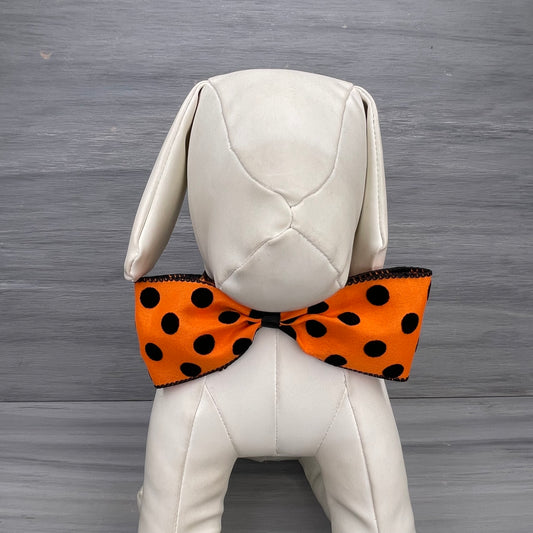 Spooky Spider - XL Bow Tie - 2 Extra Large Ties