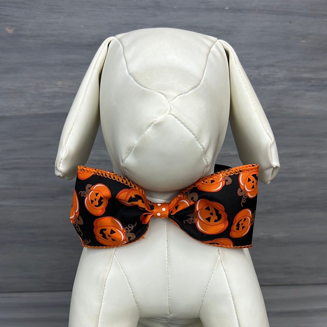 Pretty Pumpkins - XL Bow Tie - 2 Extra Large Ties