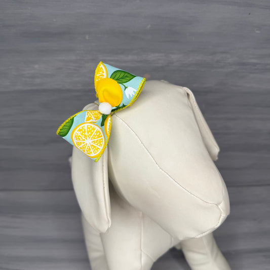 Sunny Slices - Classic - 8 Medium Bows