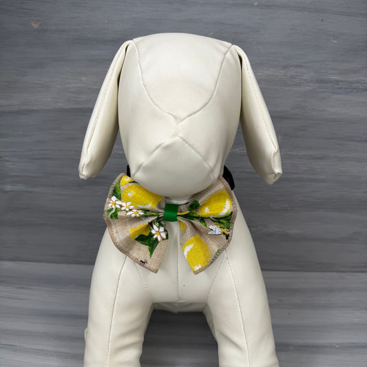 Honeyed Citrus - Jumbo Bow Tie - 3 Large Neckties