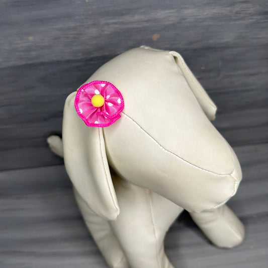 Spring Pop - Tiny Tedi Bows - 24 Tiny Bows