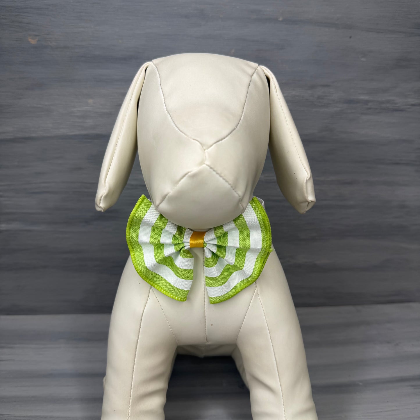 Citrus Splash - Jumbo Bow Tie - 3 Large Neckties