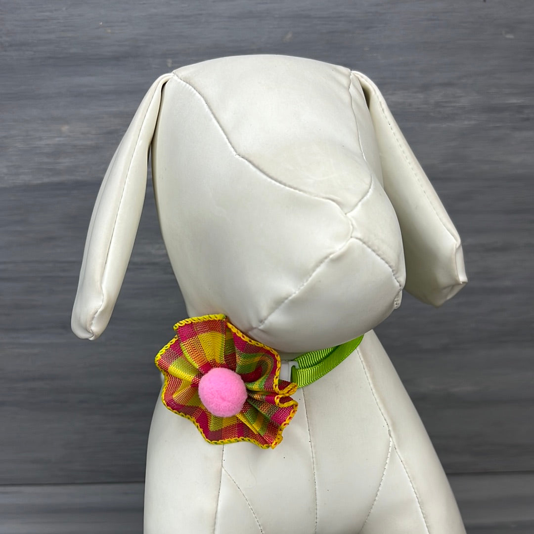 Bright - 9 Ruffled Pom Neckwear