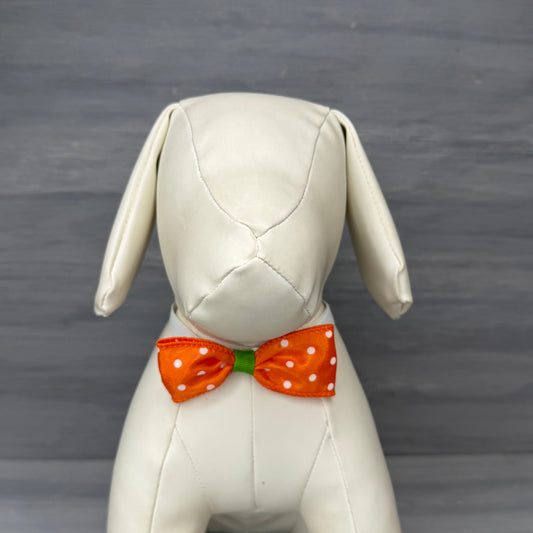 Orange Crush - 8 Adjustable Bow Tie Neckwear