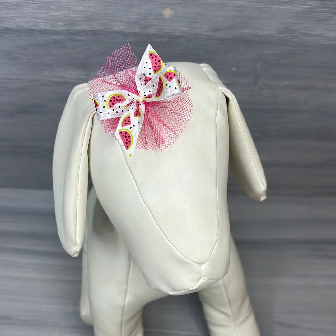 Tutti Frutti - 50 Medium Bows