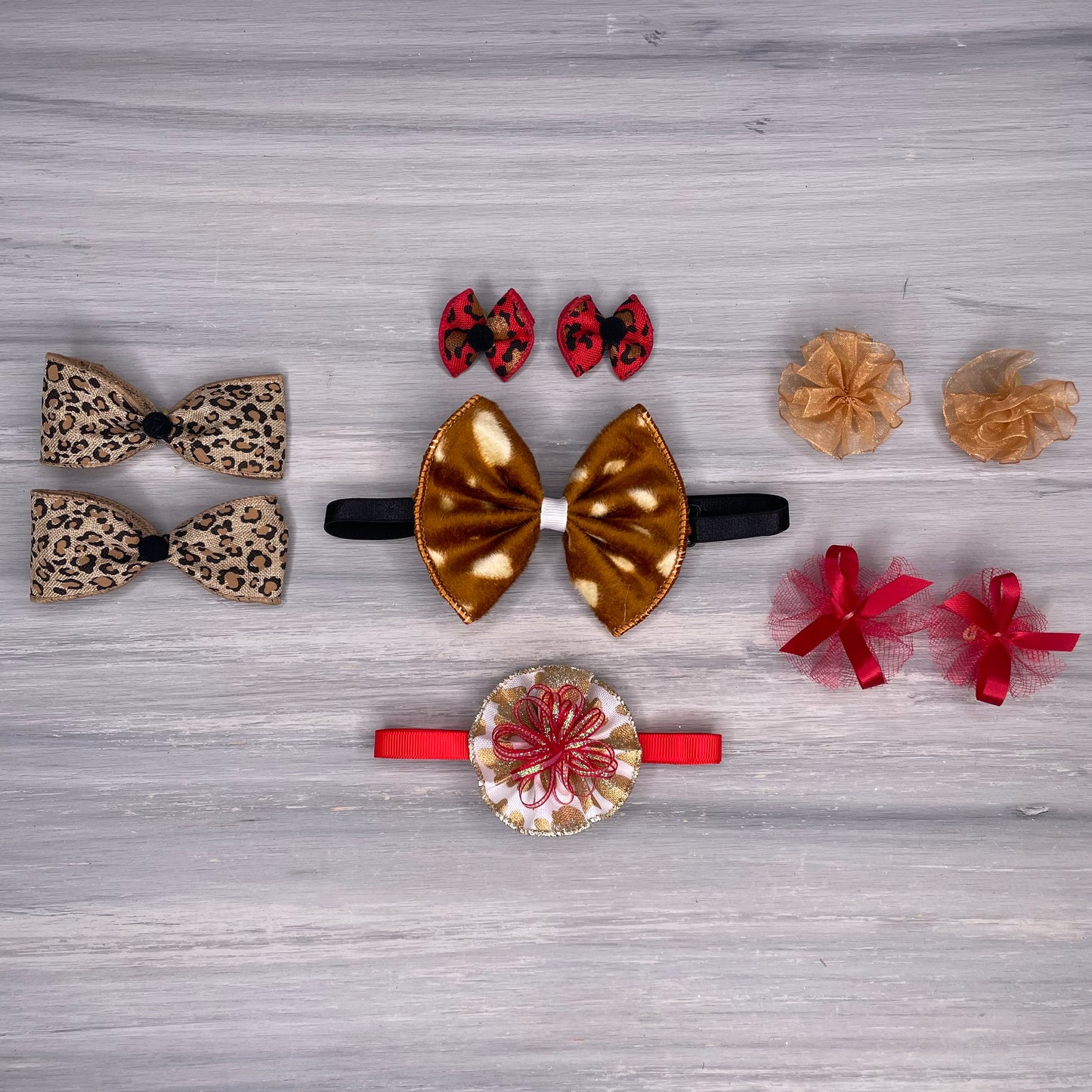 Cheetah-licious Collection - Small - 10 Piece Assortment