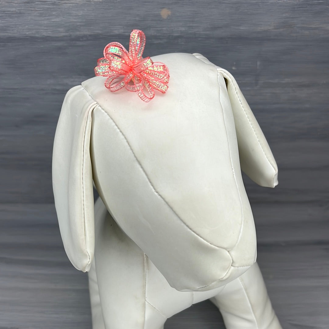 Bright - Pixie Collection - 24 Medium Bows