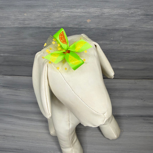 Citrus Collection - 50 Bows