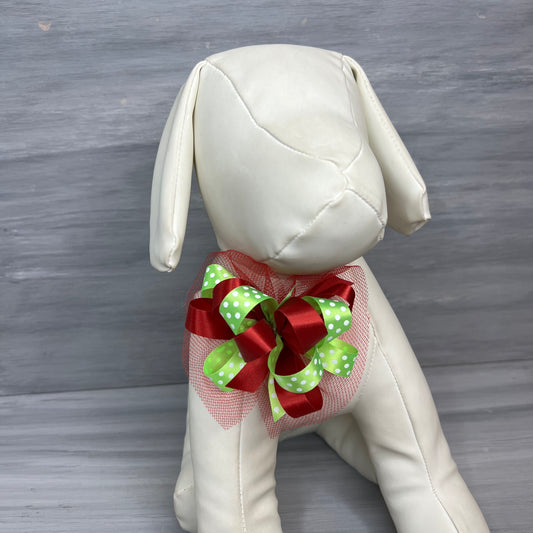 Tutti Frutti Collar Bows - 8 Extra Large Bows