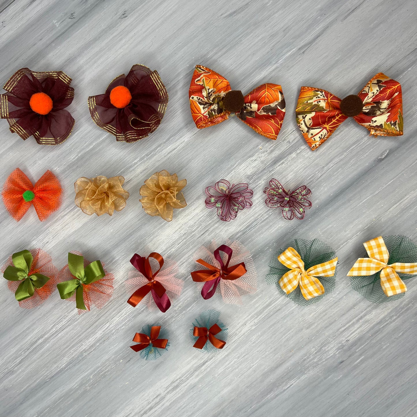 Harvest - 17 Piece Assortment