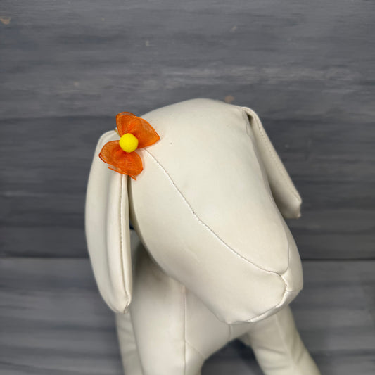 Citrus Splash - Bloomers - 24 Tiny Bows