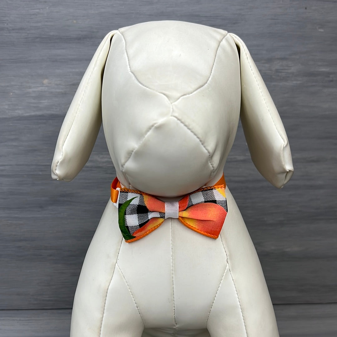 Just Peachy - 8 Adjustable Bow Tie Neckwear