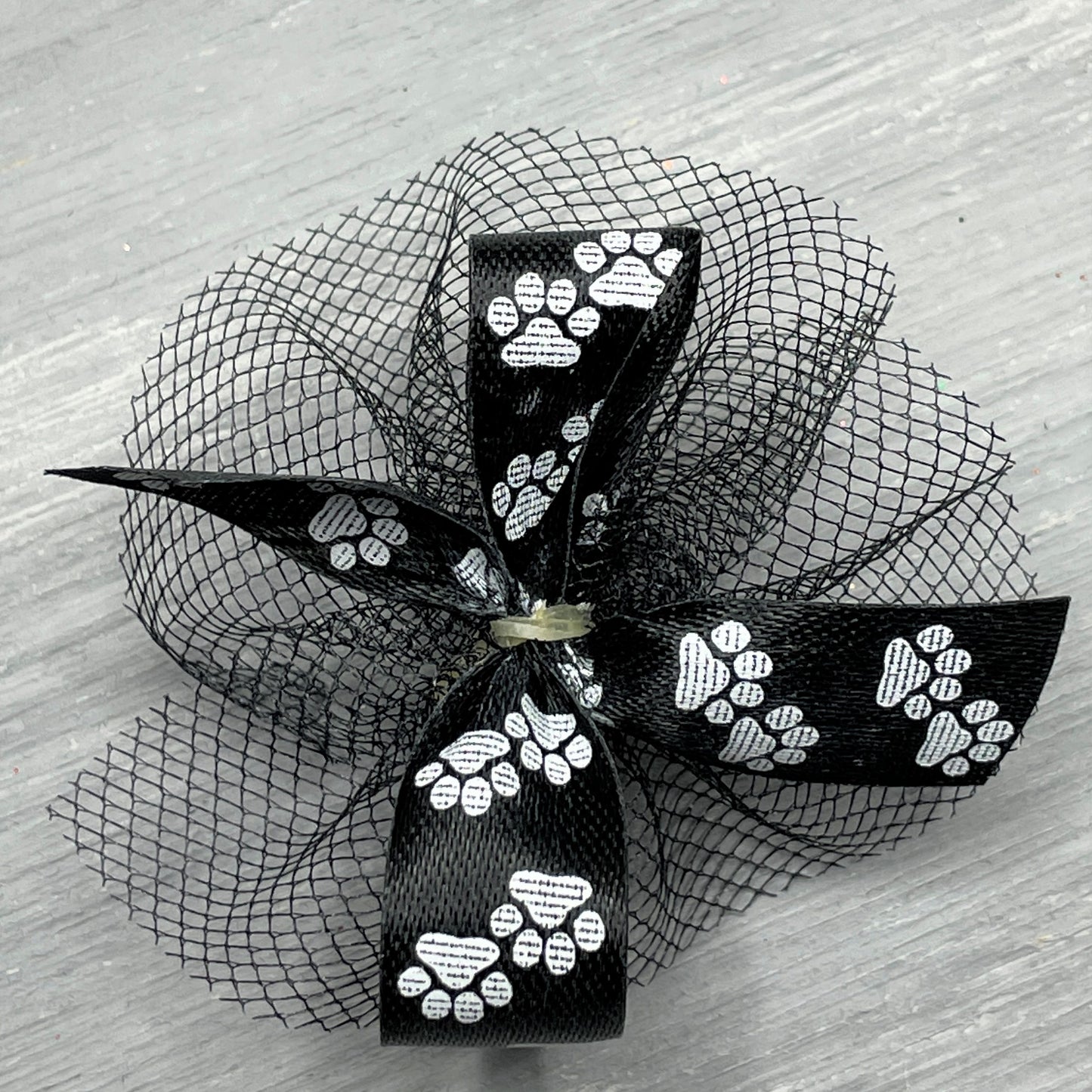 Paw Print Collection - Great For Everyday - 50 Medium Bows