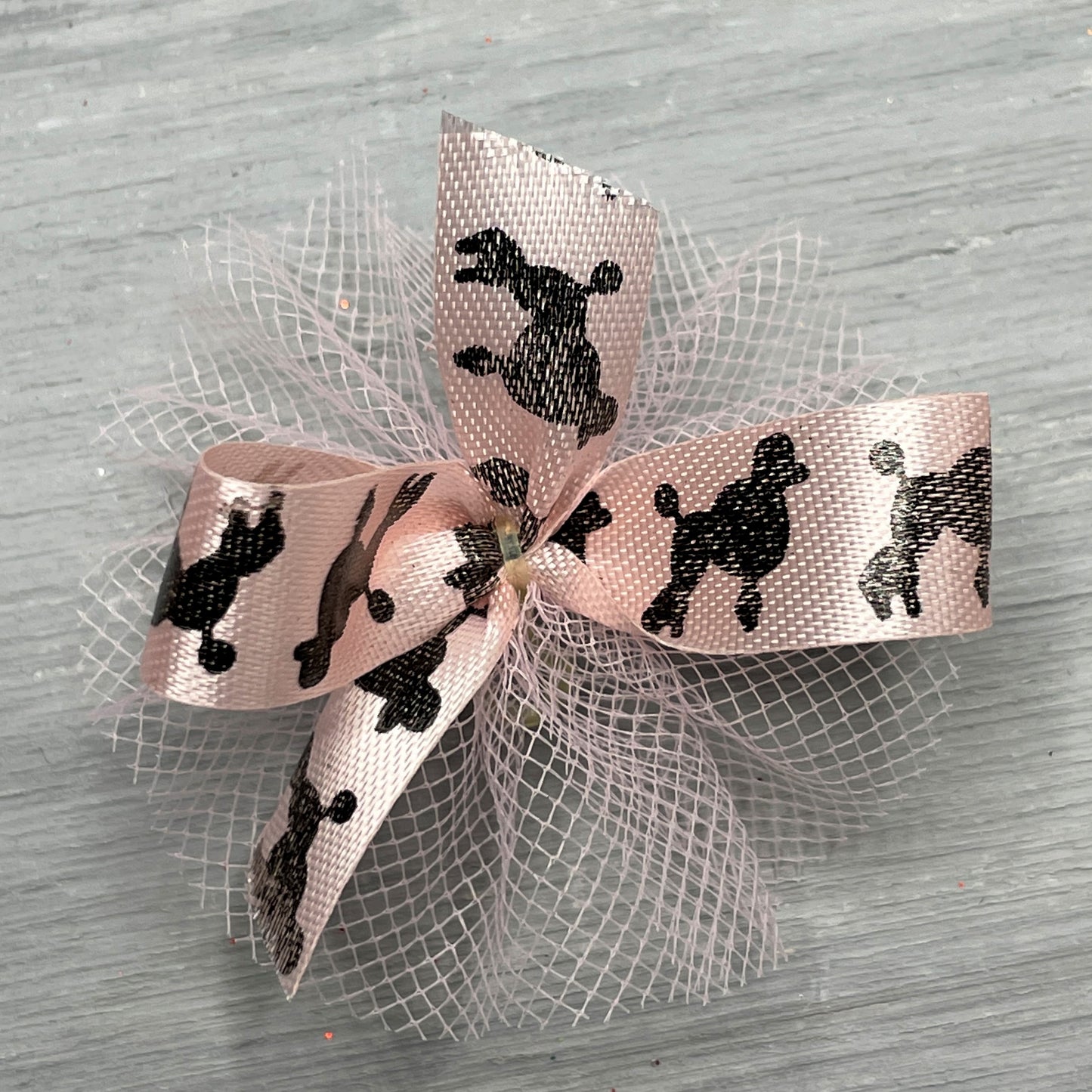 Paw Print Collection - Great For Everyday - 50 Medium Bows