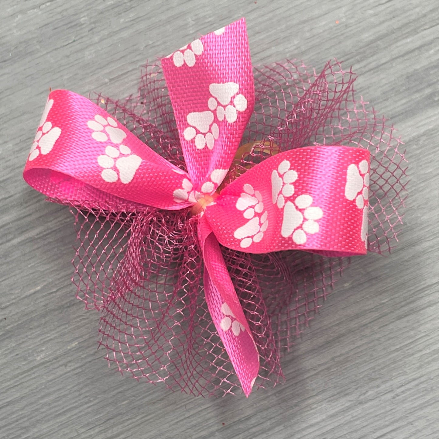 Paw Print Collection - Great For Everyday - 50 Medium Bows