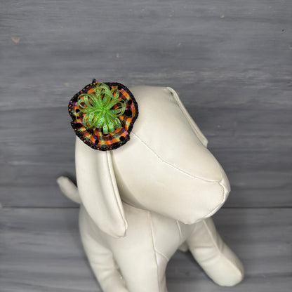 Beetle Halloween - Tedi Bows - 12 Medium Bows