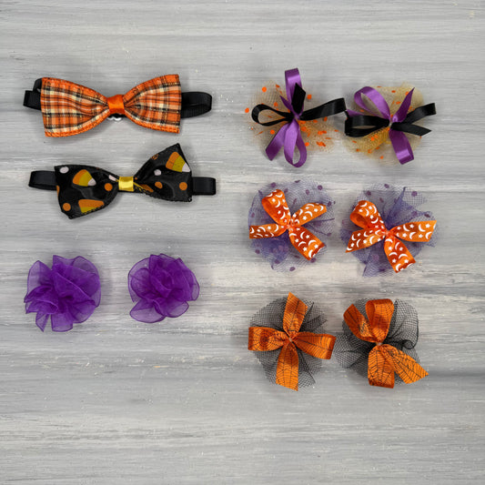 Spooky - Small - 10 Piece Assortment