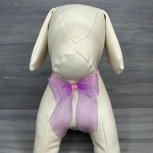 Pastel - Little Belle - 3 Small Ties