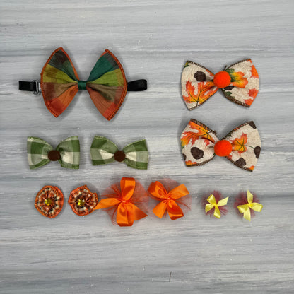 Burnt Orange Bliss - Small - 11 Piece Assortment