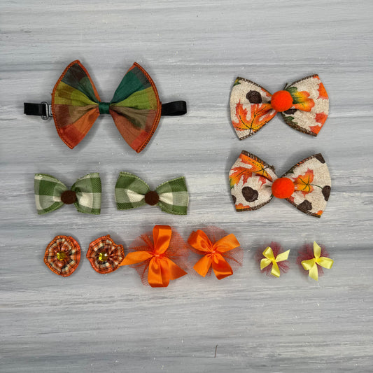 Burnt Orange Bliss - Small - 11 Piece Assortment