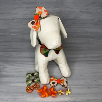 Burnt Orange Bliss - Small - 11 Piece Assortment