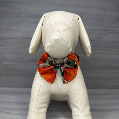 Pumpkin Patch - Jumbo Bow Tie - 2 Large Neckties