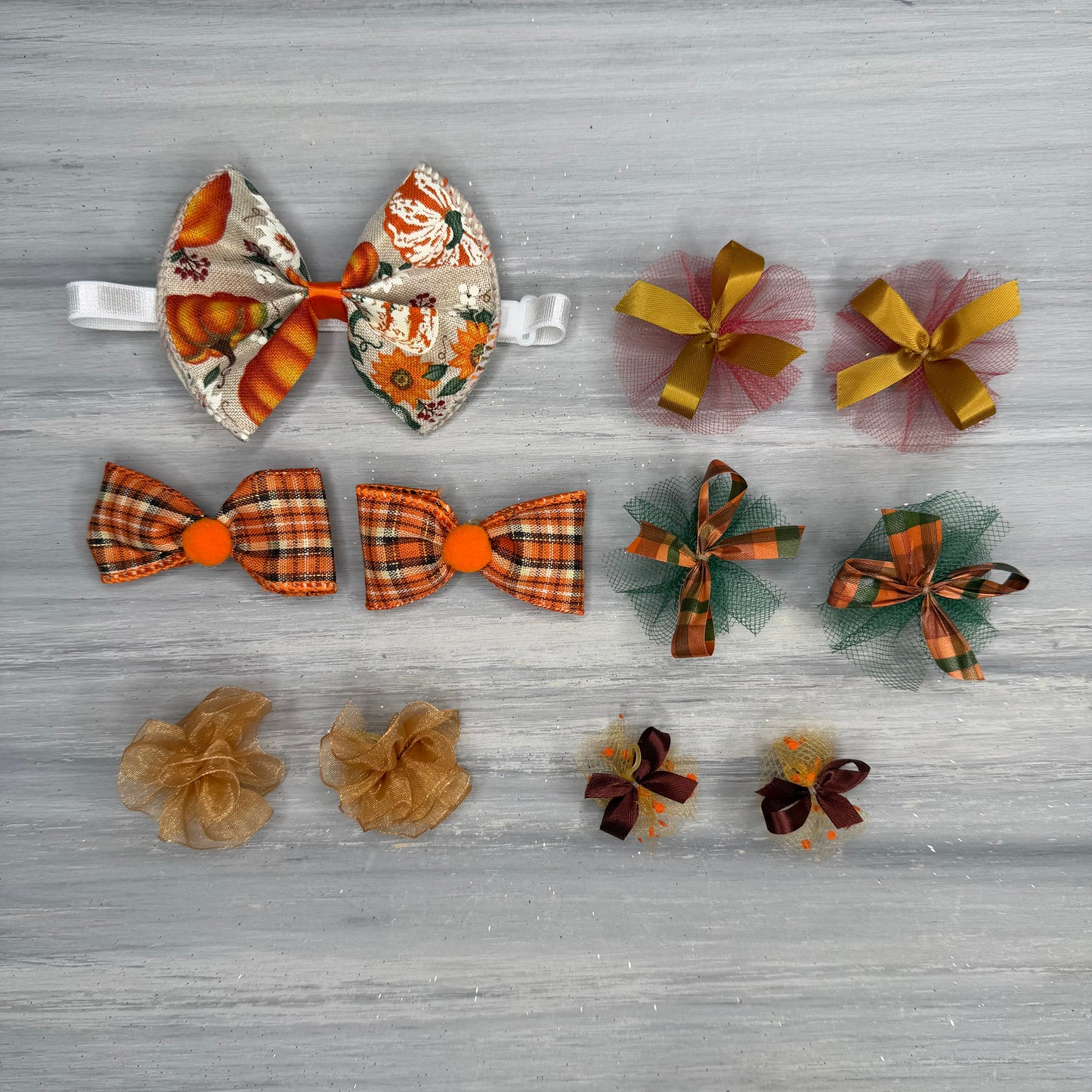 Pumpkin - Small - 11 Piece Assortment