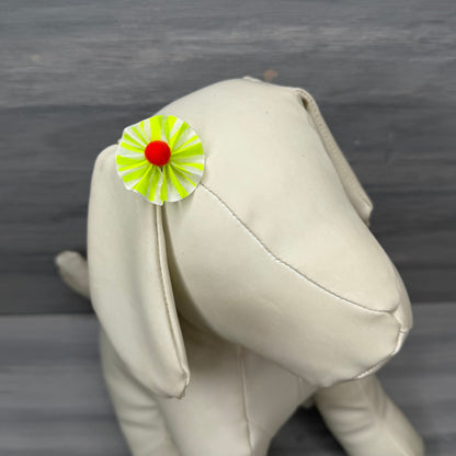 Citrus Spritz  - Tiny Tedi Bows - 24 Tiny Bows