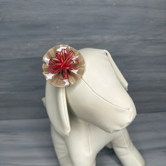 Bold & Brave- Tedi Bows - 12 Medium Bows