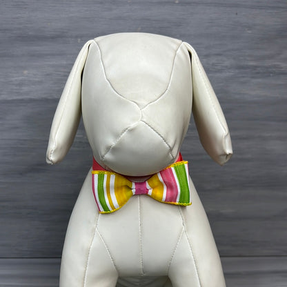 Summer Citrus - 8 Adjustable Bow Tie Neckwear