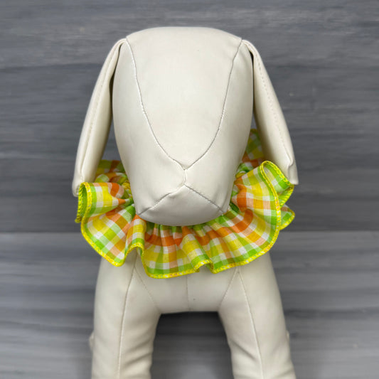 Citrus Twist - 3 Fancy Frills - Medium