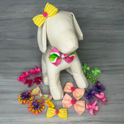 Daydream - Medium - 20 Piece Assortment