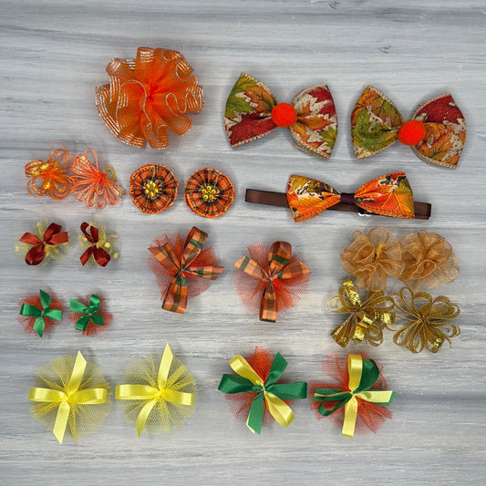 Harvest - Medium - 22 Piece Assortment