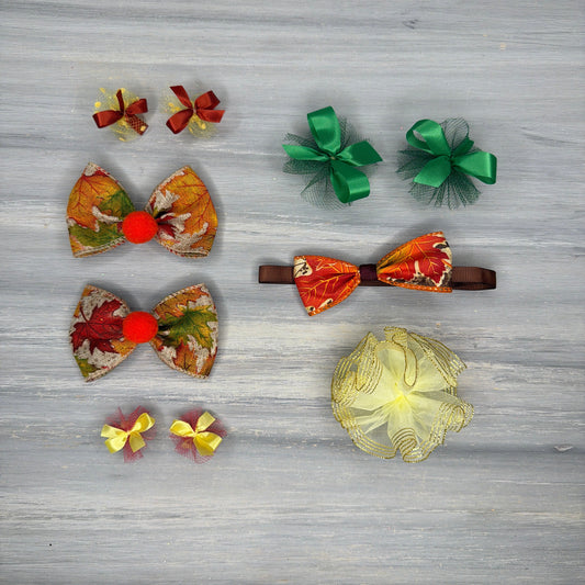 Fall Leaves - Small - 10 Piece Assortment