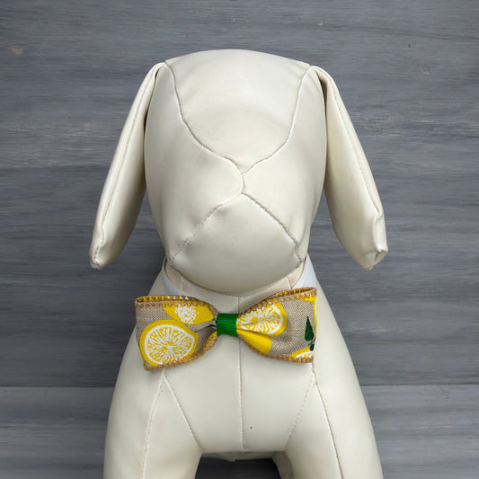 Lemon Drop - 8 Adjustable Bow Tie Neckwear