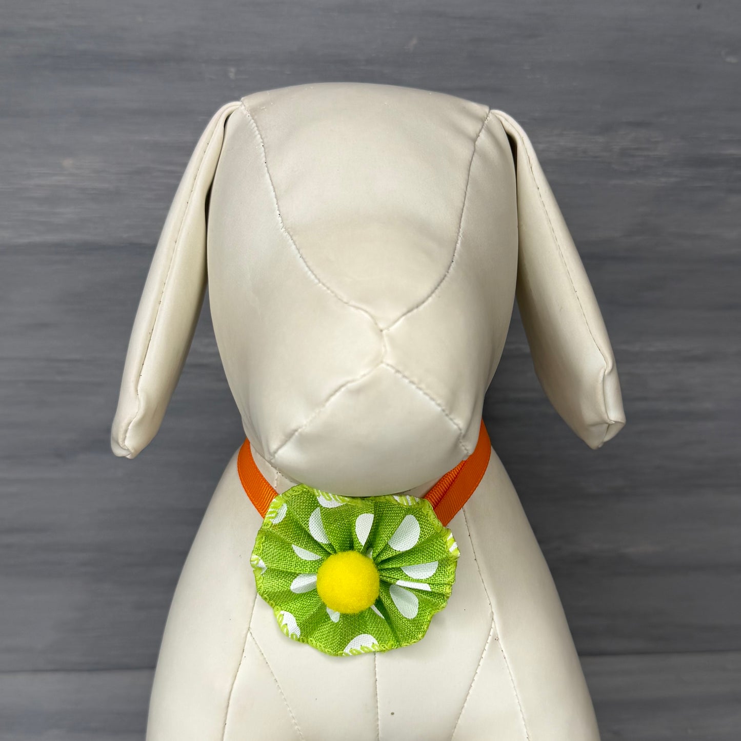 Citrus Pop - 9 Ruffled Pom Neckwear