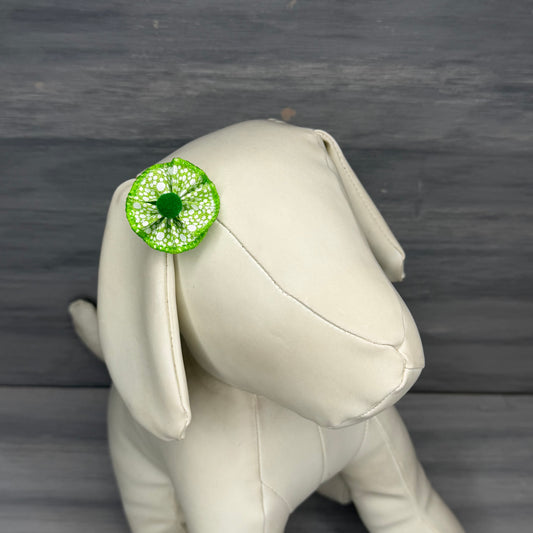 Lucky - Tiny Tedi Bows - 24 Tiny Bows