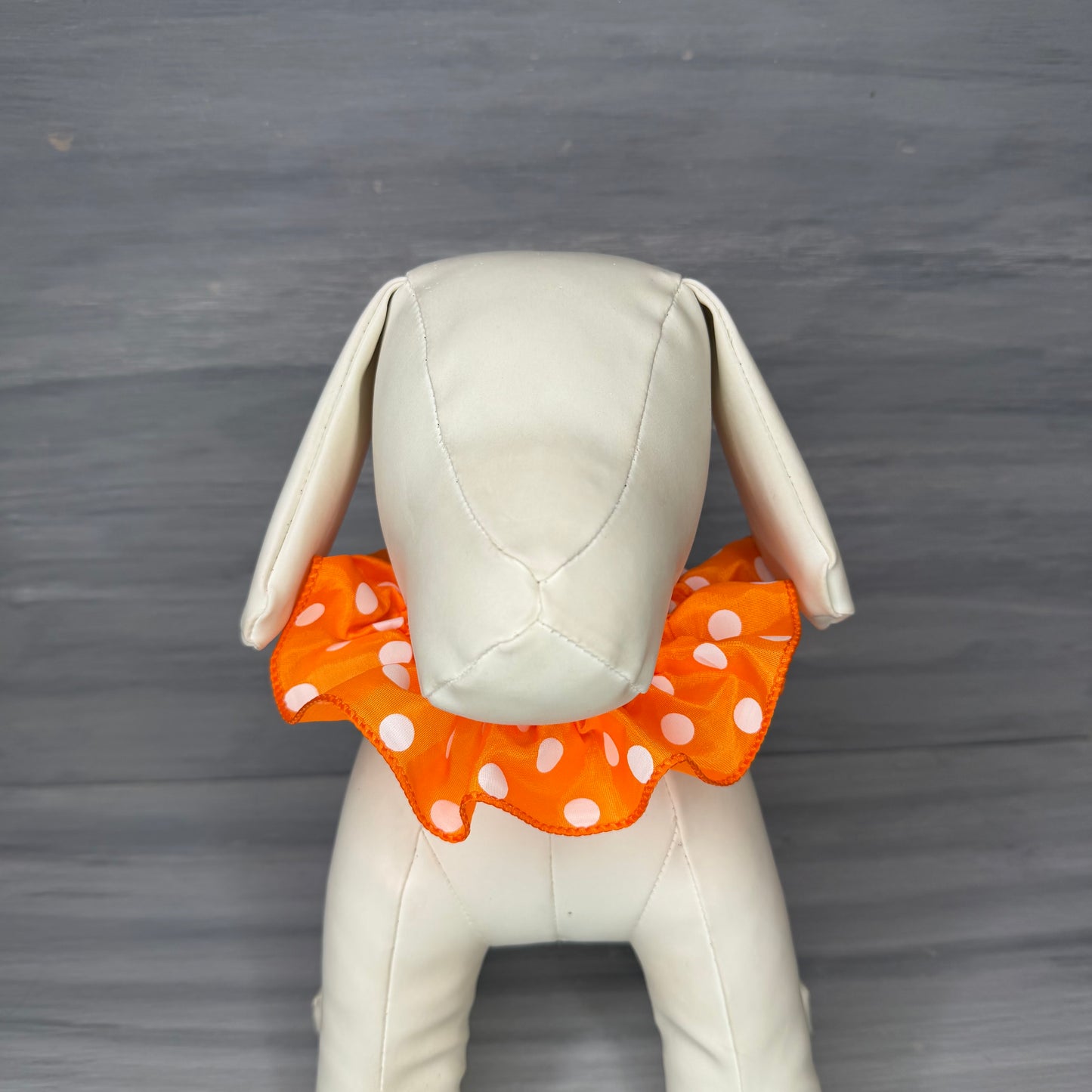 Spotted Citrus - 3 Fancy Frills - Small