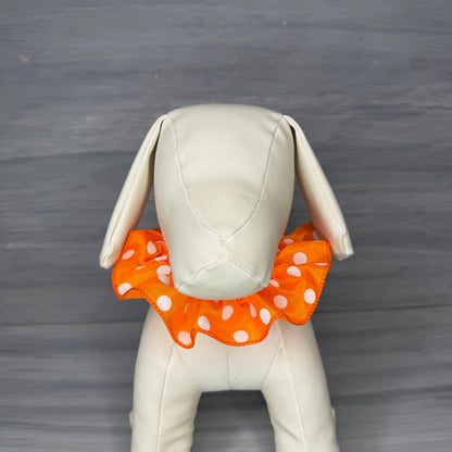 Spotted Citrus - 3 Fancy Frills - Small