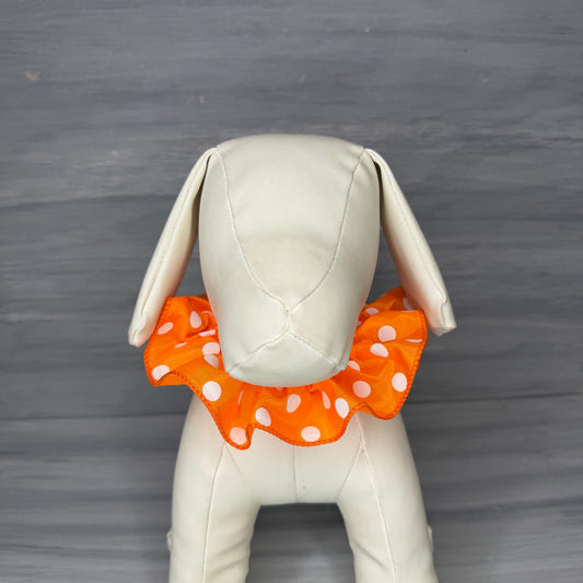 Spotted Citrus - 3 Fancy Frills - Small