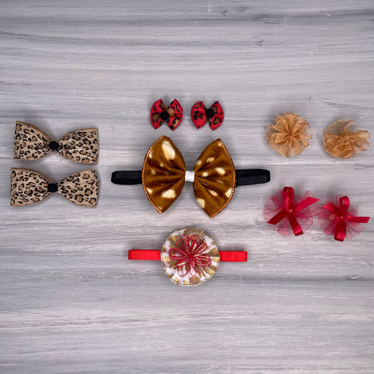 Cheetah-licious Collection - Small - 10 Piece Assortment