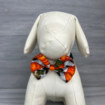 Pumpkin Patch - Jumbo Bow Tie Neckwear - 4 Large Neckties