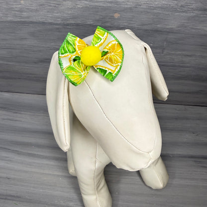 Main Squeeze - Topsy Turvy - 12 Medium Bows