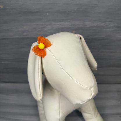 Citrus Splash - Bloomers - 24 Tiny Bows