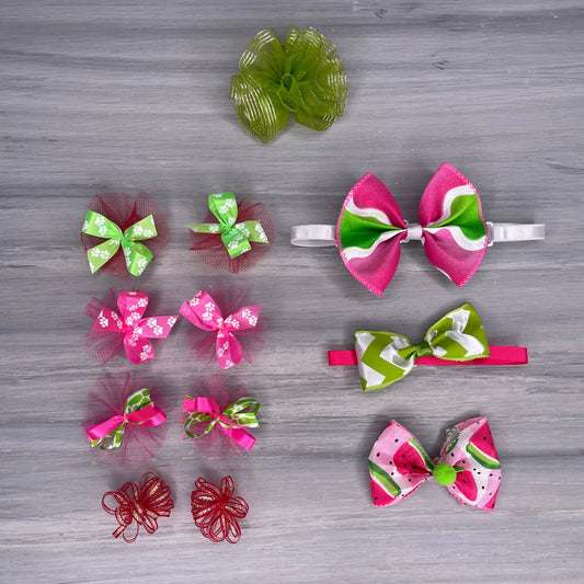 Watermelon Rush - Medium - 12 Piece Assortment