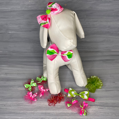 Watermelon Rush - Medium - 12 Piece Assortment