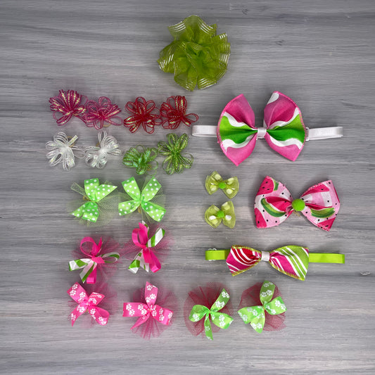Watermelon Rush - Large - 22 Piece Assortment